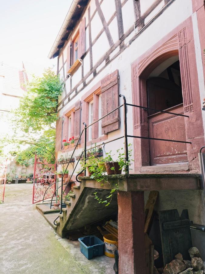Le Haut Relais Des Seigneurs - 5 Mn Royal Palace De Kirrwiller Bouxwiller  Екстериор снимка